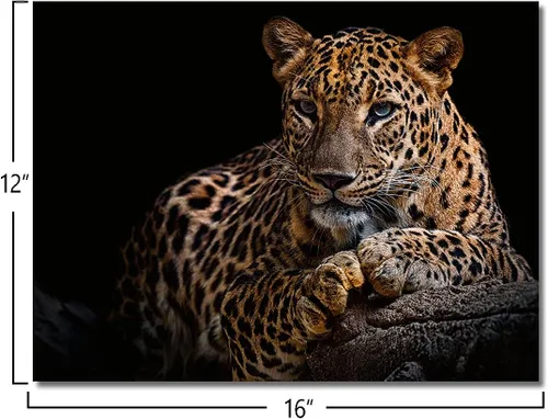 Miniatura 2 de Impresiones en lienzo de leopardo con fondo negro y vida silvestre dorada, arte de pared de leopardo y guepardo, ilustraciones para baño
