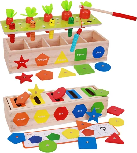 Montessori para niños pequeños, caja magnética de clasificación de formas de color, juguetes de aprendizaje temprano, juguete educativo de madera,