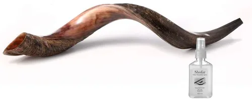 Miniatura 12 de Auténtico shofar de cuerno kudu yemenita – Instrumento bíblico espiritual para adoración judía y cristiana, oración y festivales – Incluye spray