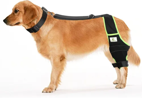 Miniatura 9 de Rodillera de perro para patas traseras con cuello y correa adicionales, alivia el dolor y las molestias en las articulaciones, mejora la movilidad