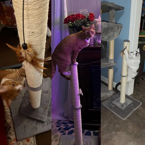 Miniatura 4 de HUTPET Poste rascador para gatos de 34 pulgadas de alto, doble base y diseño de refuerzo, postes de sisal para rascar árboles con juguetes de plumas