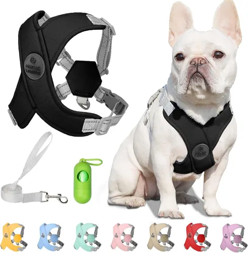 Miniatura 17 de Patas Lague Juego de arnés para perro con correa, ajustable, suave, acolchado, chaleco de entrada para perro, sin estrangulamiento, sin tirones