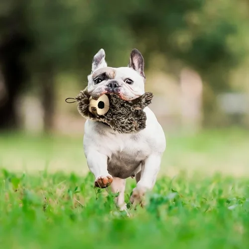 Miniatura 4 de Juguete para perro perezoso con chirriador, juguete mediano para perros pequeños, juguete de felpa para perros, multicolor, 6 pulgadas, con licencia