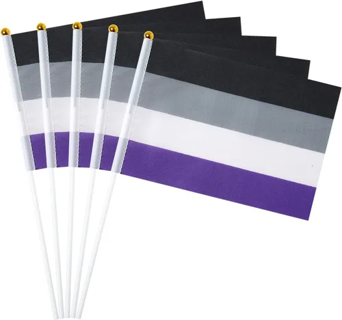 GentleGirl Paquete de 12 banderas de arco iris del orgullo asexual, pequeñas banderas de mano gay LGBT Festival Fiesta Desfiles Decoraciones