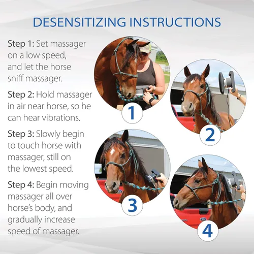 Miniatura 4 de Core Products Equisports Masajeador de velocidad variable calmante para tejido profundo para caballos y equinos