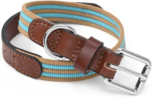 Miniatura 25 de Mile High Life Collares para perros, collares de algodón suave con hebilla de metal pesado, collar clásico para cachorros con puntas de cuero