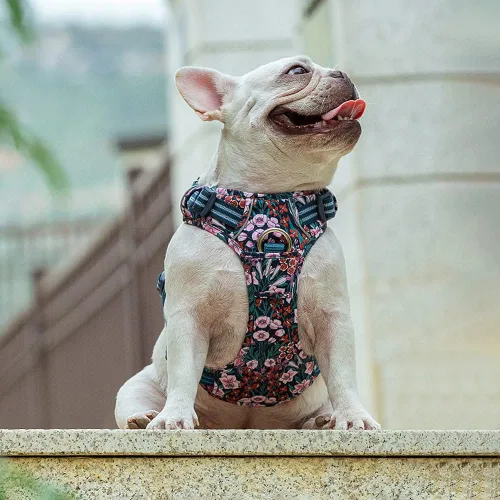 Miniatura 8 de Arnés reflectante sin tirones para perro, con asa y clip frontal, arnés acolchado de neopreno para perros pequeños, medianos y grandes, 3 hebillas