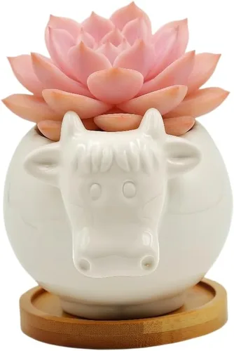 Miniatura 3 de Cuteforyou Macetas para suculentas, bonita maceta de cerámica con forma de vaca de dibujos animados para suculentas/cactus/flores, soportes
