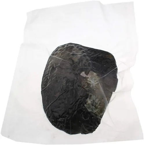 Miniatura 5 de NewEGG Big Oyster Pearl Party - Cuentas ovaladas cultivadas de agua dulce (0.197-0.276 in, 28 unidades/lote), ostras con perla interior para mujeres