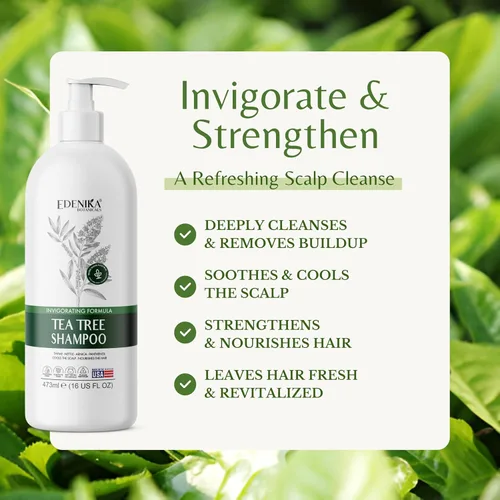 Miniatura 2 de EDENIKA BOTANICALS Champú de aceite de árbol de té, limpieza profunda para acumulación y cuero cabelludo graso, alivia la picazón del cuero