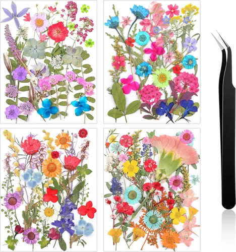 Miniatura 27 de Nuanchu Flores secas prensadas negras para manualidades, flores secas góticas, flores silvestres prensadas naturales a granel con pinzas para molde