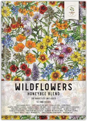 Seed Needs Mezcla de semillas polinizadoras Mezcla de miel de abejas Flores silvestres | A granel 1 onza 12,500+ semillas originales 20 variedades
