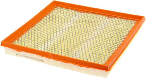 Miniatura 6 de Filtro de aire del panel de protección CA10989 FRAM