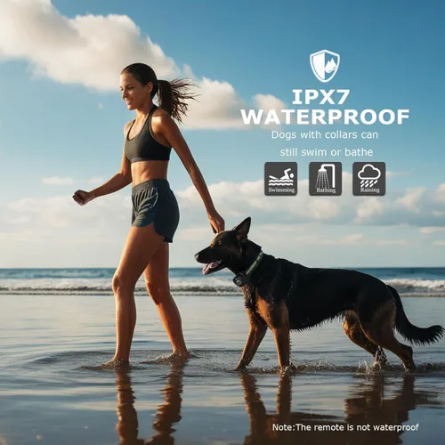 Miniatura 6 de Collar de choque para perro, collar de entrenamiento para perros con control remoto para perros pequeños, medianos y grandes, collar electrónico