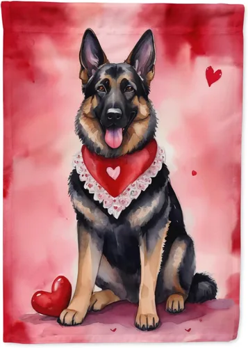 Miniatura 146 de Caroline's Treasures DAC5292CHF - Bandera de Border Collie My Valentine House para porche, grande, con manga para porche, para colgar en la pared