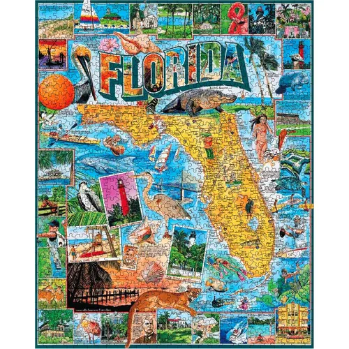 Miniatura 3 de White Mountain Rompecabezas de 1000 piezas con collage de Sunshine State con piezas grandes, regalo para adultos y familia, de 24 x 30 pulgadas