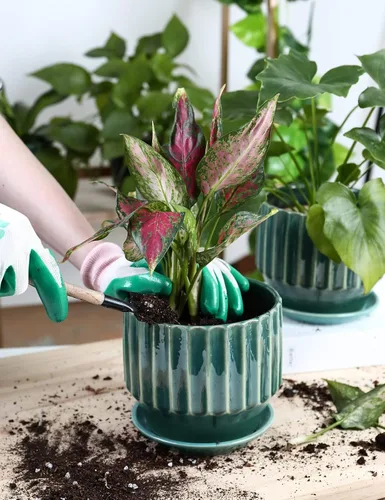 Miniatura 6 de AISBUGUR Macetas de cerámica de 6 pulgadas para plantas de interior, juego de 2 macetas de diseño único de esmalte agrietado con orificio de drenaje