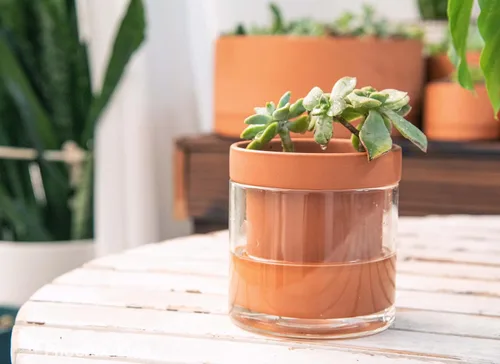 Miniatura 5 de Phoenix Vine Maceta de riego automático de 4 pulgadas, maceta de arcilla de terracota con depósito de vidrio para plantas de interior, hierbas