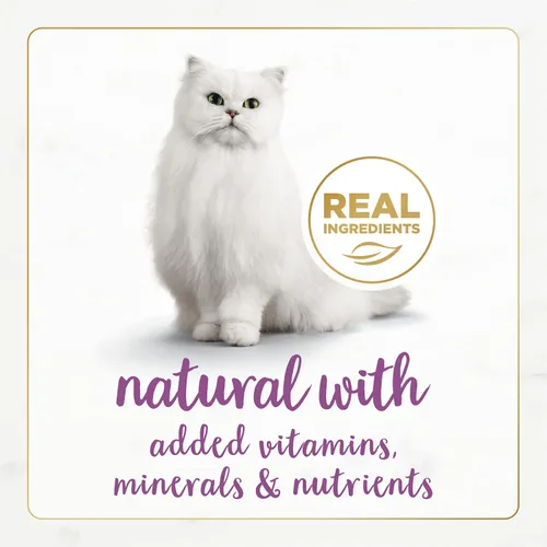 Miniatura 3 de Purina Fancy Feast Paté - Comida húmeda enlatada para gatos adultos, Paté Natural Gourmet