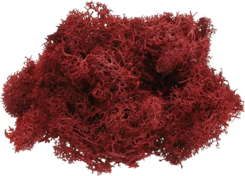 uxcell Musgo de reno preservado, musgo falso de 4 onzas para manualidades, musgo seco artificial para decoración, manualidades, terrarios, plantas