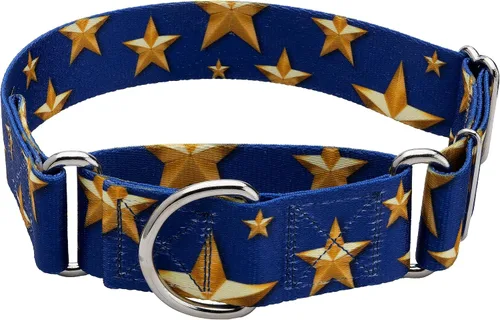 Miniatura 10 de Country Brook Petz HossFit Jr - Collar ancho de Martingala para perro, colección Americana con diseños patrióticos (celebración americana, mediano)