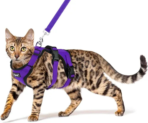 Miniatura 13 de PUPTECK Juego de arnés y correa para gato a prueba de escape para caminar, chaleco de malla transpirable arnés ajustable para gatos cachorros Negro