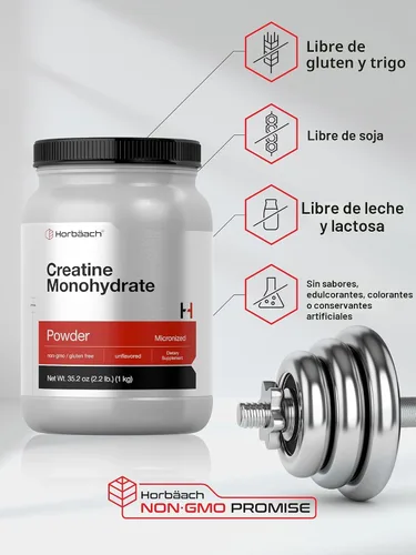 Miniatura 5 de Horbäach Monohidrato de creatina en polvo 2.2 libras (35.2 onzas) Micronizado y sin sabor Suplemento vegetariano, sin OMG y sin gluten