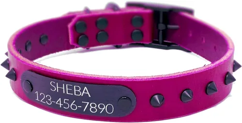 Miniatura 8 de Personalized Spiked Bridle Leather Dog Collar, Engraved Matte Black Metal Nameplate (Mustard Yellow)