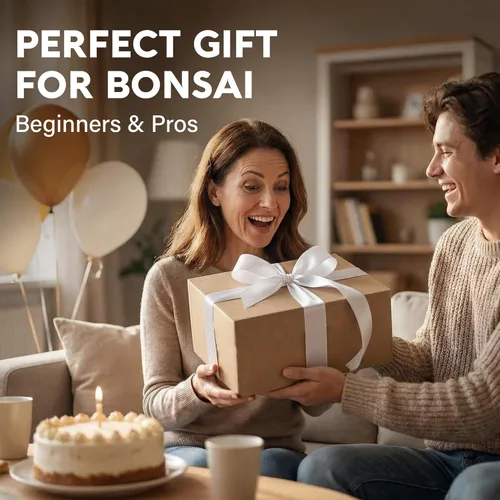 Miniatura 11 de Kit de inicio de Bonsái – Cultivo de Jacaranda Bonzai Kit completo de árbol interior para cultivar plantas con herramientas y maceta – Regalos