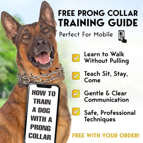 Miniatura 7 de PetJett Collar de Púas para Perros - Collar de Entrenamiento Ajustable para Perros Collar de Ahogo para Perros Collar de Pellizco para Perro, Negro