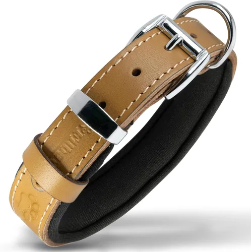 Miniatura 28 de Filbert Collar de cuero para perro, collar de cuero genuino para perros pequeños, estampado de patas en relieve con hebilla, grano completo curtido