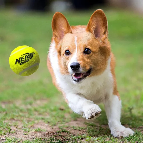 Miniatura 2 de Nerf Dog Juego de regalo de 12 piezas de juguetes para perros, incluye pelota de tenis chirriante de 2.5 pulgadas, paquete de 12, material Nerf