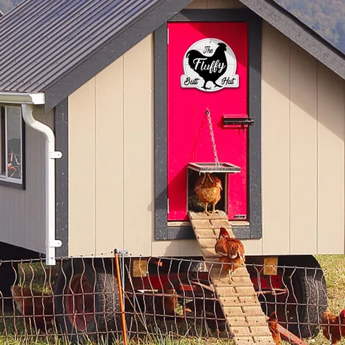 Miniatura 2 de The Fluffy Butt Hut Signs,cartel de gallinero, decoración de cobertizo de pollo para el hogar (blanco)