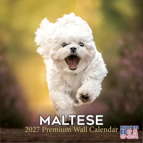 Miniatura 94 de Calendario amarillo 2025 2026 de Labrador Pups – Calendario mensual de pared de raza de perro – 12" x 24" abierto – Papel grueso anti-traspaso