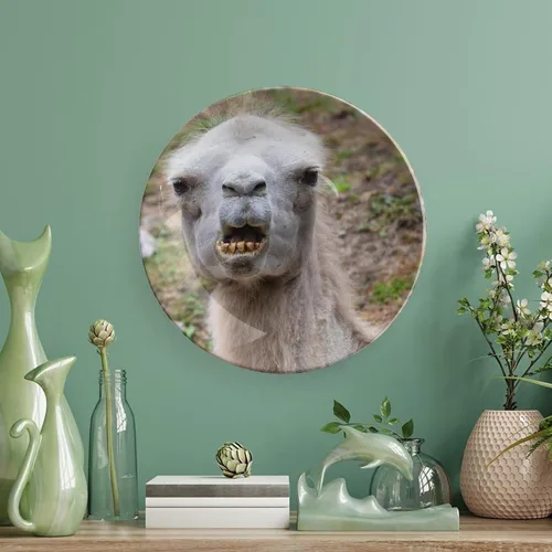 Miniatura 5 de Placa decorativa de animales de camello, placa decorativa de cerámica para pared, plato decorativo con soporte, placa redonda de exhibición