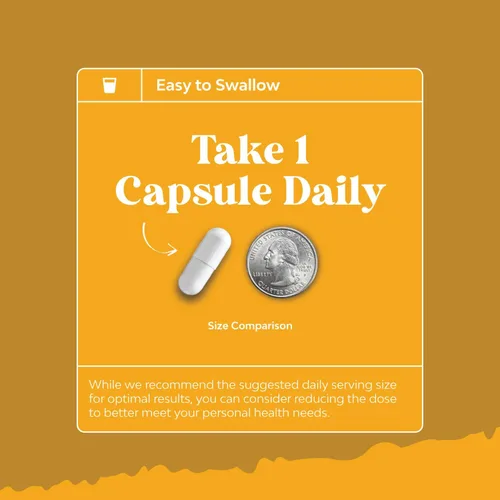 Miniatura 8 de Paquete de quercetina pura con suplemento de bromelina + cápsulas de 500 mg para apoyo inmunológico y respiración y zinc de 50 mg – Mejora