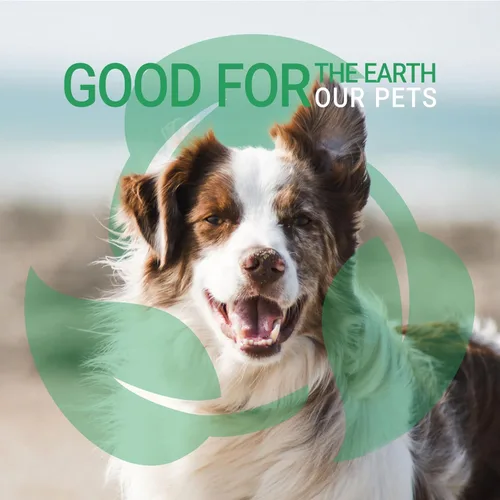 Miniatura 8 de Green Groom Champú para perros con aceite de argán, 1 galón, vitamina E y antioxidante rico, restaura el brillo, hidratante, ingredientes naturales