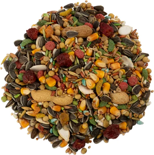 Miniatura 5 de Wild Harvest Advanced Nutrition - Loro de 4 libras, mezcla de semillas, granos y verduras