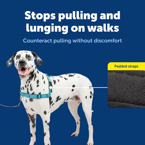 Miniatura 4 de PetSafe Arnés Deluxe Easy Walk – Arnés de pecho para perro de confianza del entrenador con diseño de bucle martingala transpirable – Ayuda a dejar