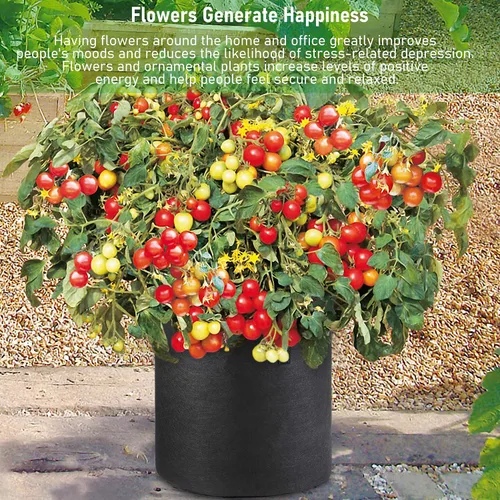 Miniatura 7 de Paquete de 5 bolsas de cultivo de 3 galones, macetas de cultivo de plantas de tela no tejida de alta resistencia para verduras