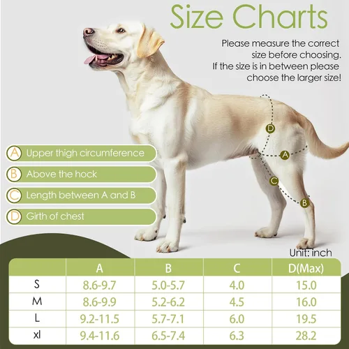 Miniatura 4 de Soportes de pierna de perro para pierna trasera, soporte de ACL para perro para desgarro y espalda, patas traseras desgarro de ACL, soporte