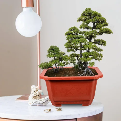 Miniatura 8 de ERINGOGO 10 macetas de entrenamiento para bonsái, 10 plantas bonsái, maceta rectangular de plástico con agujeros de drenaje, flor profunda grande