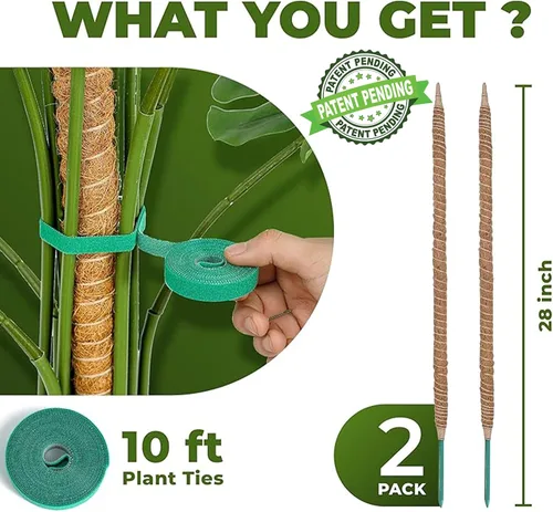 Miniatura 2 de Paquete de 2 postes de musgo flexibles de 28 pulgadas para soporte de plantas Monstera para plantas de interior - Bastón de musgo alto tipo enrejado