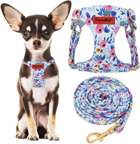 Miniatura 9 de OaaXbbECco Arnés suave y ajustable para cachorro, arnés suave y ajustable para perro y correa para perro, sin estrangulamiento, a prueba de escape
