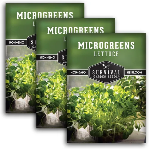 Miniatura 11 de 1 paquete de semillas de lechuga Microgreens para plantar y cultivar, microverduras de hoja verde aptas para principiantes, para interiores, cultiva