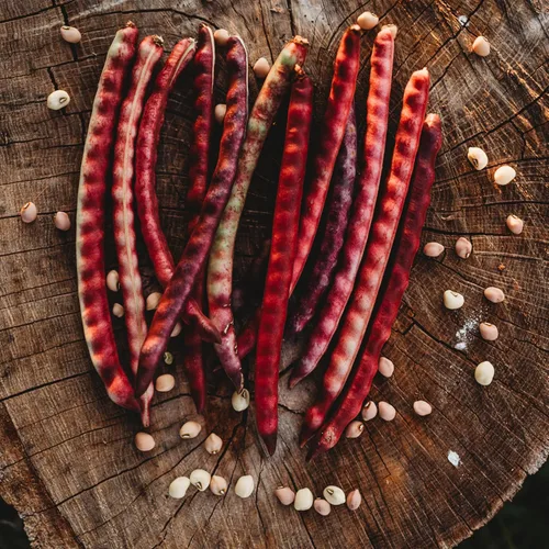 Miniatura 4 de Top Pick Brown Crowder Pea/Cowpey, 50 semillas, variedad tradicional y polinizada abierta, cultivadas en Estados Unidos, semillas de vegetales sin