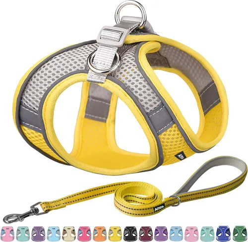Miniatura 19 de AIITLE - Juego de arnés y correa para perro sin tirones, arnés ajustable para perros con chaleco acolchado para todo clima, correa para perros