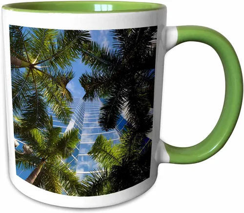 Miniatura 8 de 3dRose Estados Unidos, Florida, Miami, Brickell Avenue, edificios de gran altura. Taza negra de dos tonos de 11 oz Negro