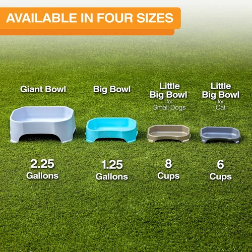 Miniatura 9 de Neater Pet Brands Cuencos para gatos de gran capacidad, cuenco de agua para gatos, reptiles, pollos, aves y animales pequeños, cuenco de comida
