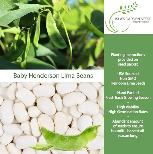 Miniatura 2 de Baby Henderson - Semillas de frijol Lima para plantar, más de 30 semillas tradicionales por paquete, semillas de jardín de Isla